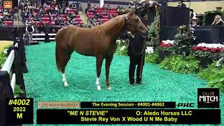 NCHA Futurity Sales Day 3 Dec 2023Dec06170036 [upl. by Arv364]