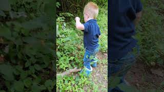 Wineberry amp Raspberry Picking With Kids [upl. by Ullyot]