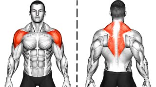 The Best Shoulder and Back Exercises At Home [upl. by Avi]