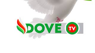 DOVE TV GH Live Stream [upl. by Laehpar]