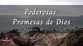 Promesas de Dios que cambiarán tu vida  30 min de versículos bíblicos para motivarte  La Biblia [upl. by Lakin]