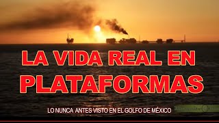 La vida real en Plataformas  Documental [upl. by Ttcos]