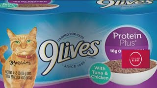 9Lives cat food recall [upl. by Adnilra]