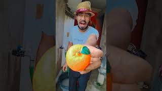 Ye khalo Anaya 🤣🤣 shorts funny trending comedy shortsfeed [upl. by Niatirb114]