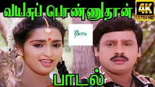 Vayasu Ponnuthan வயசு பொண்ணுதான் KSChitra Love H D Song [upl. by Uriah977]