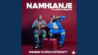 Namhlanje feat Pushkin amp Springle [upl. by Ayr]