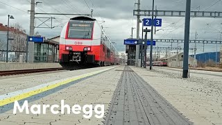 Züge in Marchegg S1 REX8 R81  Trainspotten 63 [upl. by Airamak]