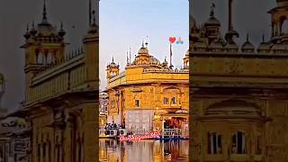 Tunkatunka 🙏🙏 livestream gurunanak shortfeed goldentempleji punjabi wmk [upl. by Nevek854]