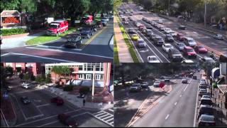 City of Gainesville Traffic [upl. by Durware525]