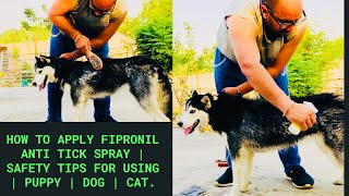 Family PetCare  How to apply Fipronil Anti Tick Spray  Safety Tips for Using  Puppy  Dog  Cat [upl. by Vil188]