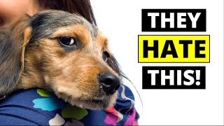 7 THINGS Dogs Hate That Humans Do [upl. by Ainafets]