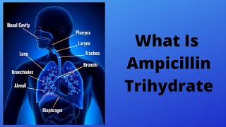 What Is Ampicillin Trihydrate [upl. by Cavuoto]