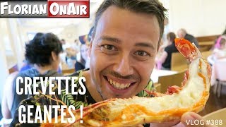 CREVETTES GEANTES et autres FRUITS DE MER à LISBONNE  VLOG 387 [upl. by Erdried]