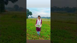 Harvest Mustard greens 🌿🌿😊♥️ll 124 surguja minivlog cgvlogs foodvideo shortvideo vlog [upl. by Tandie]