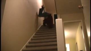 Guy falling down stairs vine [upl. by Danit]