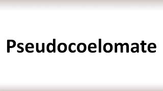 How to Pronounce Pseudocoelomate correctly [upl. by Halsey285]