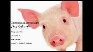 Chinesisches Sternzeichen das Schwein🐖 und seine Eigenschaften Das Schwein ist ehrlich und gerecht [upl. by Oniskey]