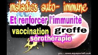 les maladies auto immunes et les moyens pour renforcer le système immunitaire [upl. by Rezeile]