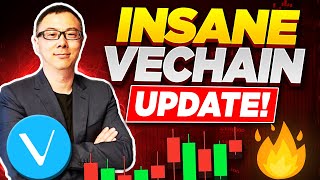 VeChain VET News BIG VeChain Updates [upl. by Herrod]