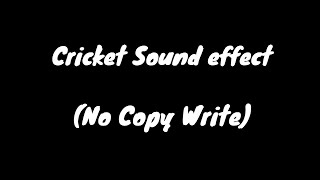 Cricket Sound Effect no Copyright [upl. by Handy308]