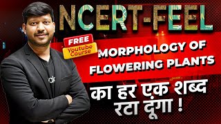 Chapter5 Morphology of Flowering Plants  360360 NCERT Feel Series neet2024 NEETkakaJEE [upl. by Larrad]