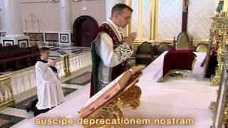 FSSP Video on Traditional Latin Mass Part 13 [upl. by Ennaecarg]