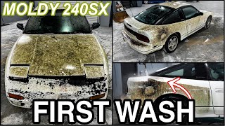 Disaster Barnyard Find  Extremely Moldy 240SX  First Wash Ever  Insane Car Detailing Restoration [upl. by Daas224]