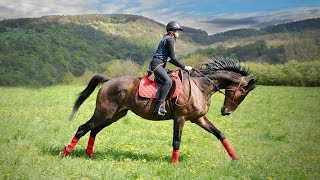 Epic full galloping GoPro extreme riding Best shots [upl. by Havot822]