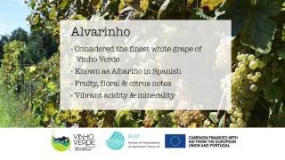 Portuguese 101 Alvarinho [upl. by Daphna]