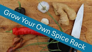 Grow Your Own Spice Rack [upl. by Yenoh821]