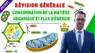 Révision générale de l’unité 1 consommation de la matière organique et flux d’énergie [upl. by Eceinwahs441]