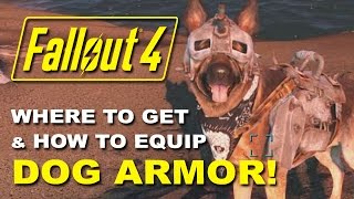 FALLOUT 4 Dogmeats Dog Armor  Where to Find it amp How to Equip It Rare Armor Location Guide [upl. by Fazeli]