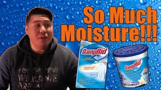 How To Get Rid of Moisture  Damprid Review [upl. by Jonah]