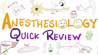 All Anesthesiology in 13 minutes  Anesthesiology  Quick Review [upl. by Sioux684]