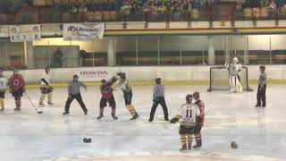 Bracknell bees fights 25 josh tetlow [upl. by Cchaddie]