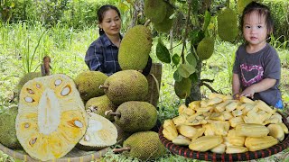 Harvest Agriculture  Wild Canarium  jackfruit Taro Go to market sell  molasses making process [upl. by Burr16]