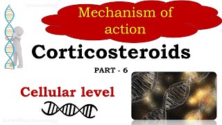 Corticosteroids Glucocorticoids [upl. by Yerd392]