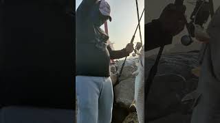 Rak fishing gulf fisherman  tamil [upl. by Alikee]