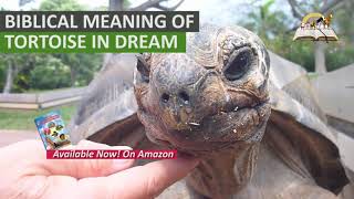 Biblical Meaning of TORTOISE in Dream  Spiritual Meaning of Turtles [upl. by Akienat]