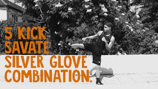 Savate Silver Glove 5 Kick Combination [upl. by Eseret]