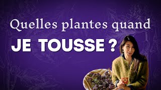 Toux grasse ou toux sèche  Quelles plantes [upl. by Novart]