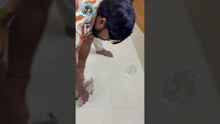 நான் எப்படி இந்த வீட்டுக்குள்ள வந்தேன்னு பாருங்க annie doglover dogs pugdog [upl. by Ambie386]