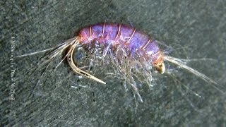 Tying a UV Shrimp Fly Gammarus by Davie McPhail [upl. by Notnirt31]