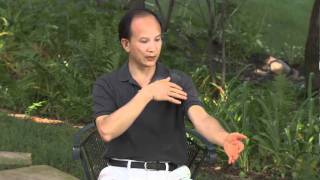 Spring Forest Qigong Demo quotHow Your Energy System Worksquot [upl. by Nylecaj320]