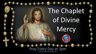 Pray the Chaplet of Divine Mercy the 3 oclock prayer multilanguage cc subtitles [upl. by Sik193]