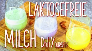 Laktosefreie Milch  DO IT YOURSELF [upl. by Nelrac]