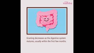 Grunting in Babies  Causes and Remedies [upl. by Katherine]