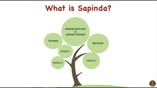 SAPINDA RELATION SECTION 3 fi of HINDU MARRIAGE ACT1955 [upl. by Atnom]