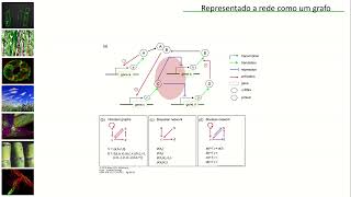 Redes de Regulação como Circuitos Lógicos  Renato Vicentini  CiênciaVisualizaçãoDadosSaúde [upl. by Alocin]