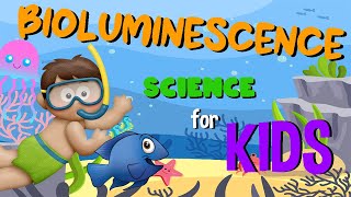 Bioluminescence  Science for Kids [upl. by Venu645]